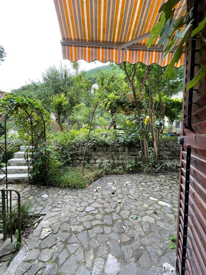 Maan Central Apartment Pet Friendly Location 브라쇼브 외부 사진